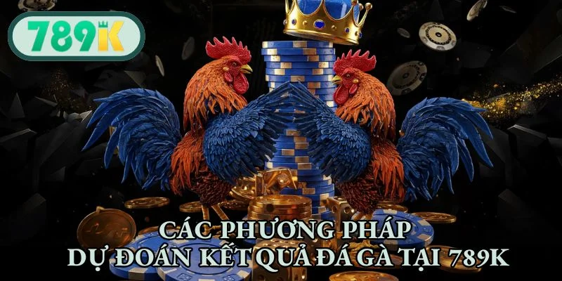Các phương pháp dự đoán kết quả đá gà tại nhà cái
