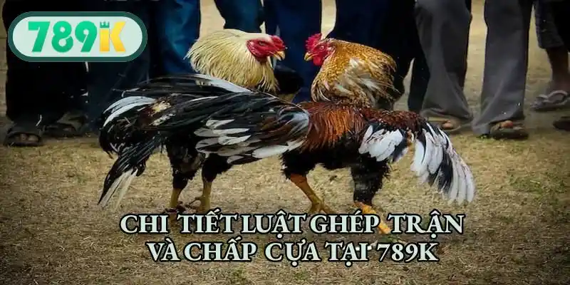 Chi tiết luật ghép trận và chấp cựa tại 789K