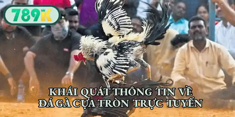 Khái quát thông tin về đá gà cựa tròn trực tuyến
