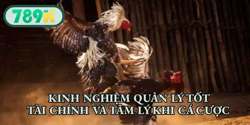 Kinh nghiệm quản lý tốt tài chính và tâm lý khi cá cược